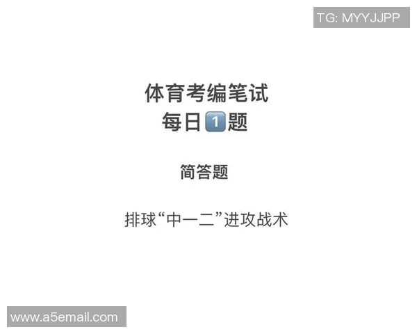深入分析成都排球队的进攻战术与配合策略探讨