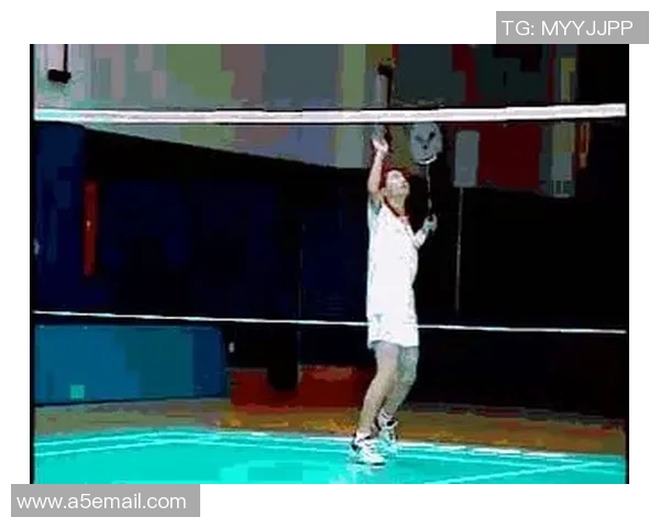 羽毛球技艺探秘：深入分析杭州羽毛球队的进攻策略与战术运用