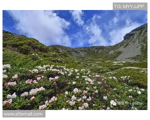 李芳独家分享攀岩心得与技巧助你轻松征服高峰之旅 李芳独家分享攀岩心得与技巧助你轻松征服高峰之旅