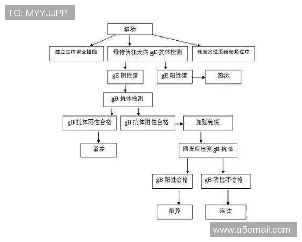 深圳足球队防反战术解析及其在联赛中的应用与成效分析 深圳足球队防反战术解析及其在联赛中的应用与成效分析
