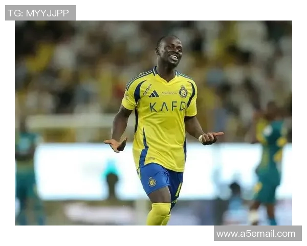 全球足球明星收入排行榜揭晓前十名球员年薪与商业价值分析