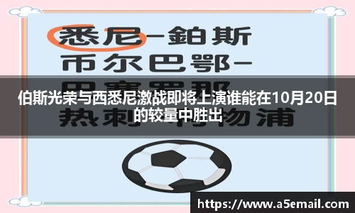 熊猫体育平台